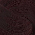 Igora Royal 4-88