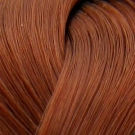 LondaColor NEW 7/4