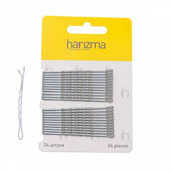 Harizma h10536-17 Невидимки 60 мм волна 24 шт серебро