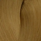LondaColor NEW 10/3