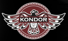Kondor Российская профессиональная косметика для мужчин