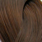 LondaColor NEW 5/4