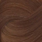 Igora Royal Absolutes 9-50