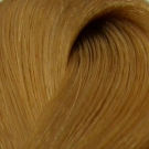 LondaColor NEW 9/3