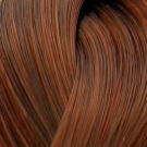 LondaColor NEW 7/41