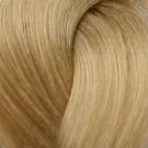 LondaColor NEW 9/38