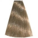 Hair Light Crema Colorante 11.13