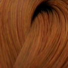 LondaColor NEW 8/43