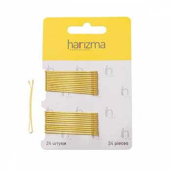 Harizma h10535-19 Невидимки 50 мм прямые 24 шт золото