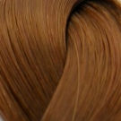 LondaColor NEW 8/41