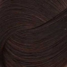 Igora Royal Absolutes 7-60