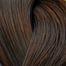 LondaColor NEW 6/41