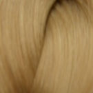 LondaColor NEW 12/7